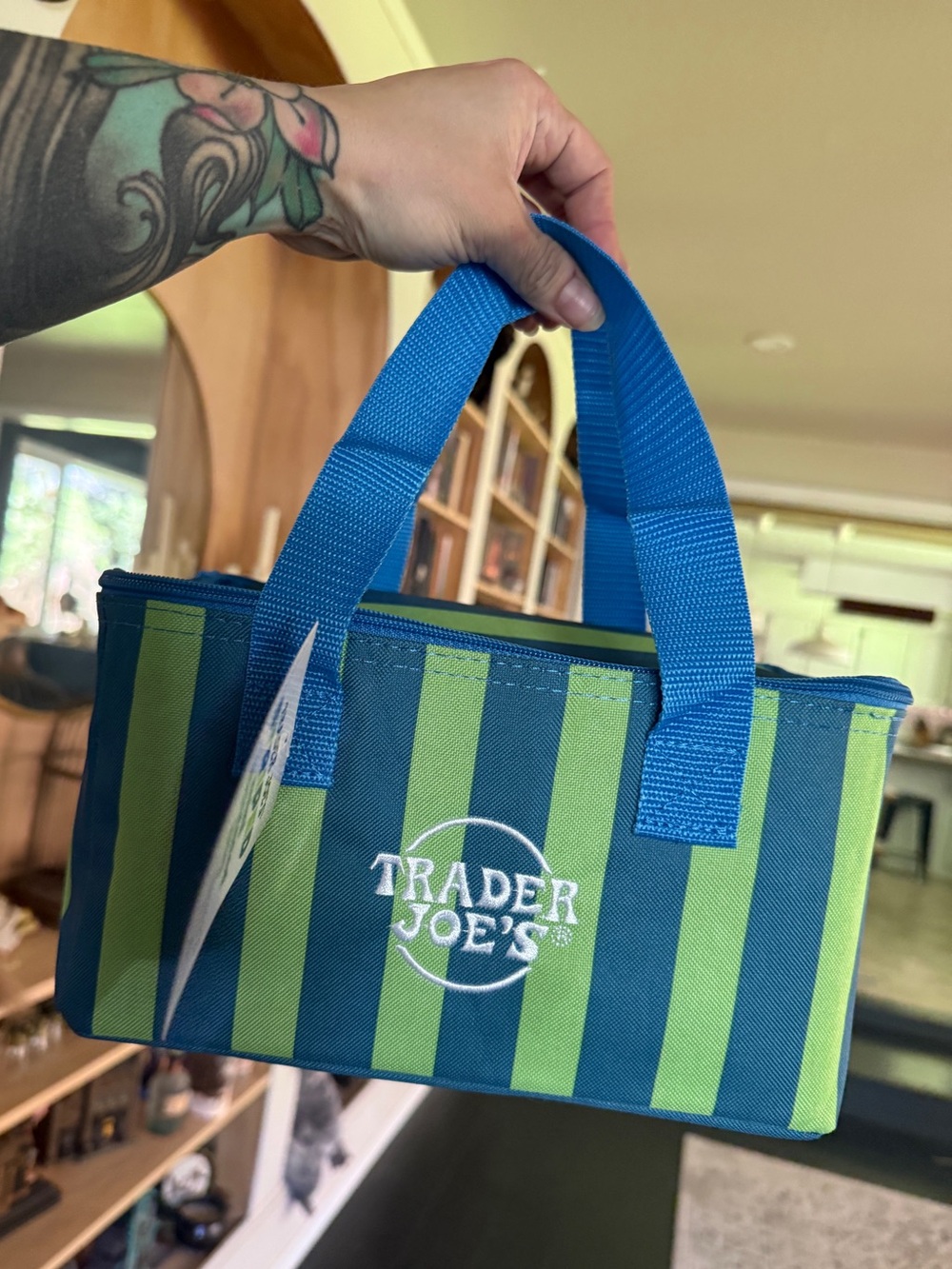 NWT Trader Joe's blue and Green Insulated Striped mini Tote